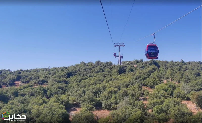 طريقة وكيفية حجز تلفريك عجلون Ajloun cable car 7 شراء تذاكر تلفريك عجلون