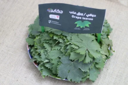 ورق الدوالي من جبال عجلون