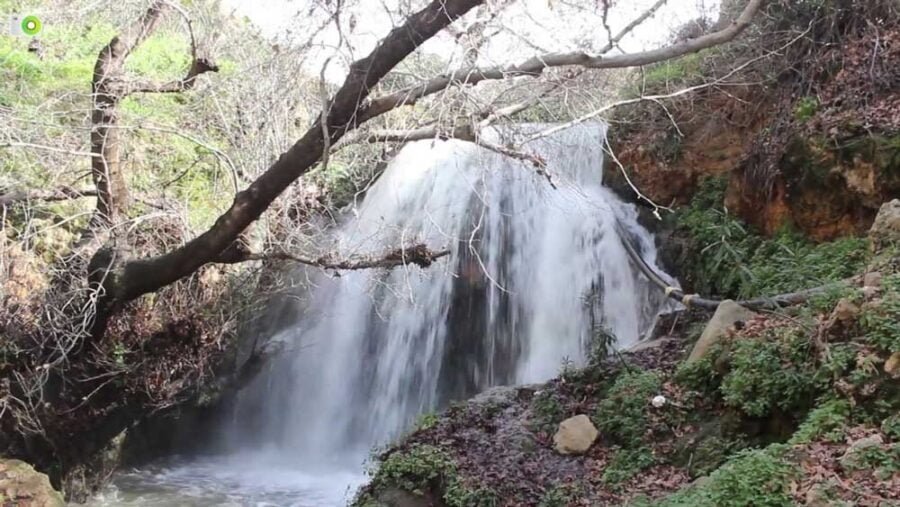 مدينة راجب: جوهرة الطبيعة في قلب الأردن 3 شلالات وادي راجب