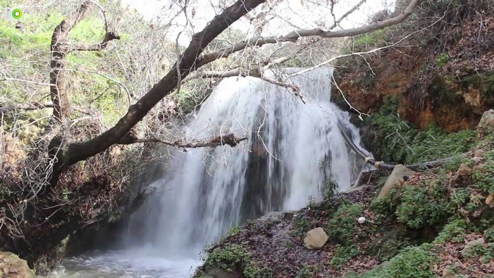 شلالات وادي راجب