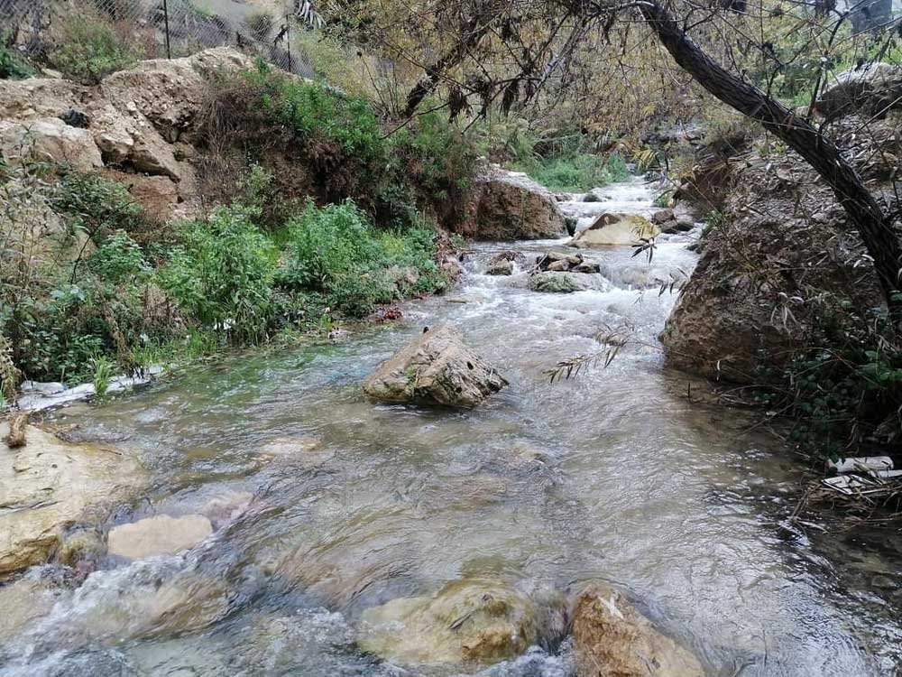 وادي راجب