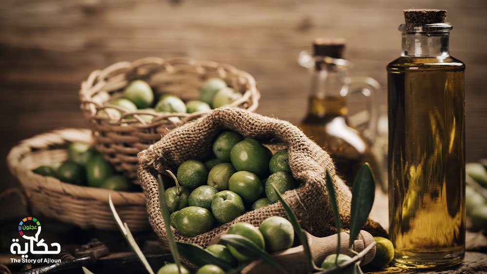 زيت زيتون الاردن و عجلون
