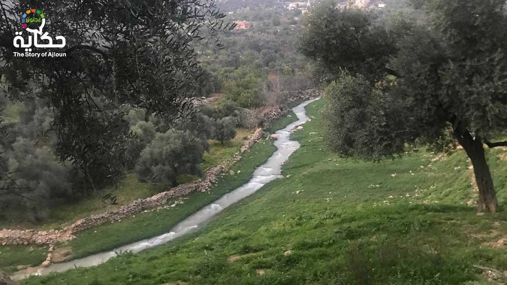 وادي الطواحين في كفرنجه